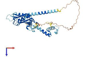 NUDCD3 Protein (AA 1-361) (His tag)