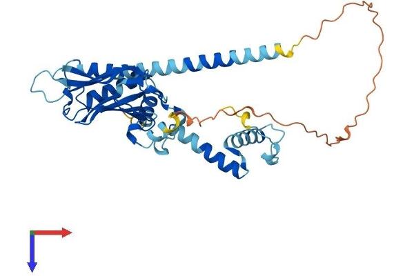 NUDCD3 Protein (AA 1-361) (His tag)