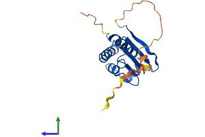Protein Structure (PS) image for B-Cell Translocation Gene 1, Anti-Proliferative (BTG1) (AA 1-171) protein (His tag) (ABIN7556605)