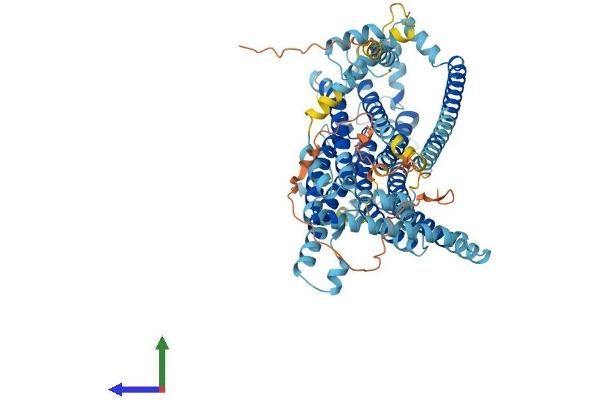 TMC8 Protein (AA 1-722) (His tag)