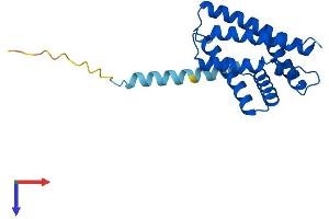 TNFAIP8 Protein (AA 1-198) (His tag)