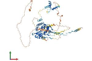 Protein Structure (PS) image for Radial Spoke Head 6 Homolog A (RSPH6A) (AA 1-717) protein (His tag) (ABIN7551599)