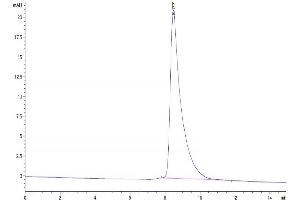 The purity of Mouse BTN2A2 is greater than 95 % as determined by SEC-HPLC. (BTN2A2 Protein (AA 30-244) (His tag))