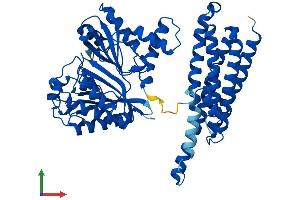 Protein Structure (PS) image for Formiminotransferase Cyclodeaminase (FTCD) (AA 1-541) protein (His tag) (ABIN7547754)