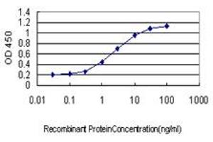 Detection limit for recombinant GST tagged TNP1 is approximately 0. (TNP1 Antikörper  (AA 1-55))