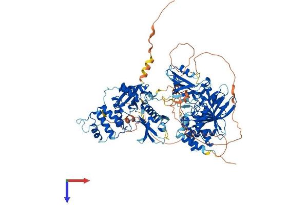 PTPN4 Protein (AA 1-926) (His tag)