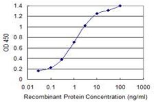 Detection limit for recombinant GST tagged PLEKHA6 is 0. (PLEKHA6 Antikörper  (AA 1-30))