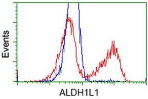 Image no. 3 for anti-Aldehyde Dehydrogenase 1 Family, Member L1 (ALDH1L1) antibody (ABIN1496582) (ALDH1L1 Antikörper)