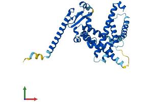 AlphaFold protein structure predicition of Human Recombinant CYP4Z2P Protein, UniprotID Q8N1L4
