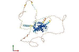 AlphaFold protein structure predicition of Human Recombinant BCL2L13 Protein, UniprotID Q9BXK5