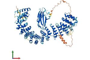 Protein Structure (PS) image for AP1 Complex Subunit gamma-Like 2 (AP1G2) (AA 1-785) protein (His tag) (ABIN7552125)