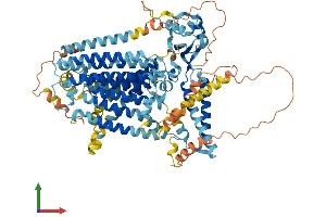 AlphaFold protein structure predicition of Human Recombinant TMEM63B Protein, UniprotID Q5T3F8 (TMEM63B Protein (AA 1-832) (His tag))