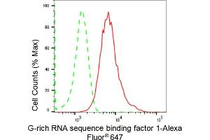 Flow cytometric analysis of G-rich RNA sequence binding factor 1 expression in HepG2 cells using G-rich RNA sequence binding factor 1 antibody (ABIN7798678), 1:2,000). (Rekombinanter GRSF1 Antikörper)