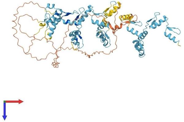 ZNF334 Protein (AA 1-680) (His tag)