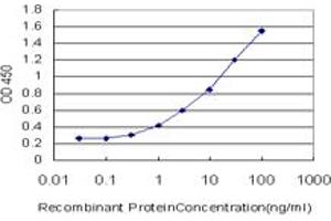 Detection limit for recombinant GST tagged TGIF2 is approximately 0. (TGIF2 Antikörper  (AA 131-236))