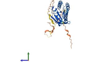 AlphaFold protein structure predicition of Human Recombinant RASL12 Protein, UniprotID Q9NYN1