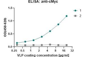 ELISA: anti-myc 1: (ABIN7538792) cVLP_SARS-CoV-2 (M+E+N) CASPR2 2: (ABIN7538794) cVLP_SARS-CoV-2 (M+E+N) control 1°Antibody: monoclonal mouse anti-myc (OriGene TA150121) 2°Antibody: Goat-anti-mouse-HRP