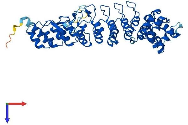 ASB4 Protein (AA 1-426) (His tag)