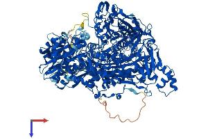 Aldehyde Oxidase 3 (AOX3) (AA 1-1335) protein (His tag)