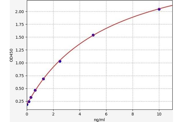 Connexin 43/GJA1 ELISA Kit