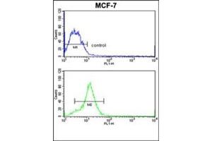 Flow cytometric analysis of MCF-7 cells using HMGA1 / HMGIY Antibody (C-term) CAt. (HMGA1 Antikörper  (C-Term))