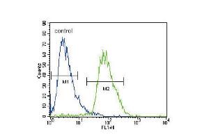 Flow cytometric analysis of HepG2 cells (right histogram) compared to a negative control cell (left histogram). (CACNA2D3 Antikörper  (C-Term))