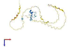 PRR3 Protein (AA 1-188) (His tag)