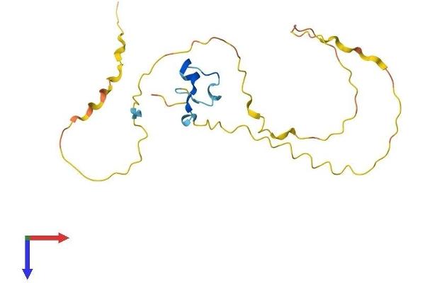 PRR3 Protein (AA 1-188) (His tag)