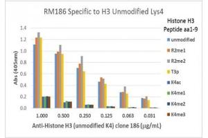 This recombinant Histone H3 antibody specifically recognizes Histone H3 unmodified at Lys4 and does not recognize acetylated, monomethylated, dimethylated, or trimethylated Lys4. (Rekombinanter Histone 3 Antikörper  (Lys4, N-Term))