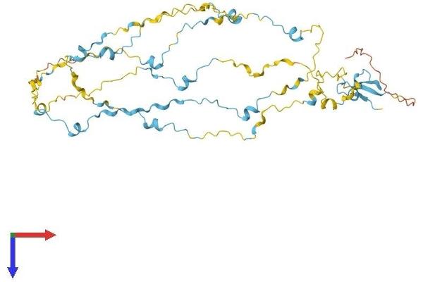 FAM154A Protein (AA 1-474) (His tag)