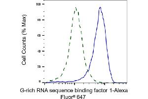 Validation of G-rich RNA sequence binding factor 1 knockdown using flow cytometry. (Rekombinanter GRSF1 Antikörper)