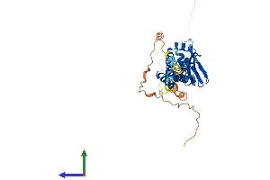 Protein Structure (PS) image for Blood Vessel Epicardial Substance (BVES) (AA 1-358) protein (His tag) (ABIN7565060)