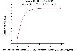 Immobilized Human B7-H3, His Tag (ABIN2870606,ABIN2870607) at 2 μg/mL (100 μL/well) can bind Monoclonal A B7-H3 / B7-H3 (4Ig) Antibody, Human IgG1 with a linear range of 0. (CD276 Protein (CD276) (AA 29-245) (His tag))