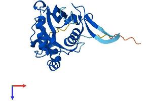 NUDT8 Protein (AA 1-210) (His tag)