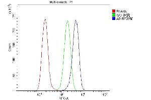 Flow Cytometry analysis of A549 cells using anti-Androgen Receptor/AR antibody (ABIN7602200).