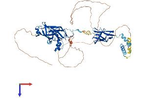 EBF3 Protein (AA 1-596) (His tag)