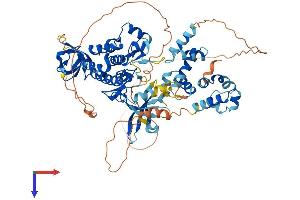 TNK1 Protein (AA 1-666) (His tag)