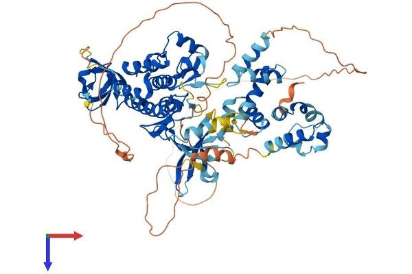 TNK1 Protein (AA 1-666) (His tag)