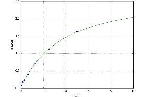 A typical standard curve