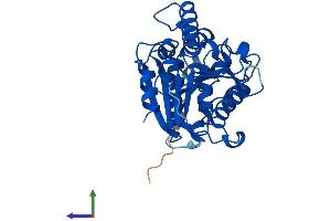 Protein Structure (PS) image for Arylformamidase (AFMID) (AA 1-303) protein (His tag) (ABIN7548692)