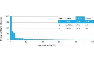 Analysis of Protein Array containing more than 19,000 full-length human proteins using Chromogranin A (CHGA) Mouse Monoclonal Antibody (CHGA/798) Z- and S- Score: The Z-score represents the strength of a signal that a monoclonal antibody (MAb) (in combination with a fluorescently-tagged anti-IgG secondary antibody) produces when binding to a particular protein on the HuProtTM array.