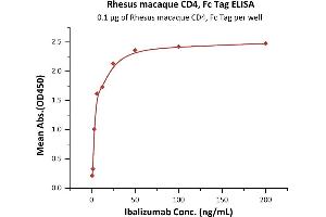 Immobilized Rhesus macaque CD4, Fc Tag (ABIN2180785,ABIN2180784) at 1 μg/mL (100 μL/well) can bind Ibalizumab with a linear range of 0. (CD4 Protein (CD4) (AA 26-390) (Fc Tag))