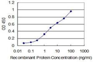 Detection limit for recombinant GST tagged SNAPC4 is 0. (SNAPC4 Antikörper  (AA 53-162))