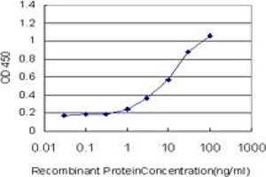 Detection limit for recombinant GST tagged PDGFRB is approximately 1ng/ml as a capture antibody. (PDGFRB Antikörper  (AA 33-133))