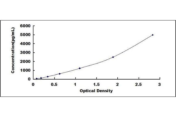 Ovalbumin ELISA Kit