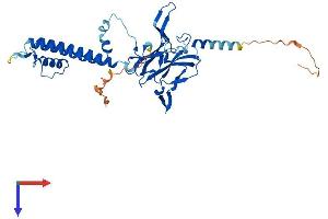 KCNJ11 Protein (AA 1-390) (His tag)