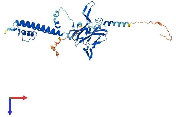 KCNJ11 Protein (AA 1-390) (His tag)