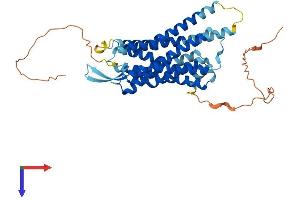 BRS3 Protein (AA 1-399) (His tag)
