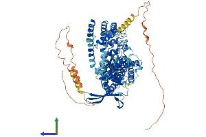 AlphaFold protein structure predicition of Human Recombinant TRPV6 Protein, UniprotID Q9H1D0