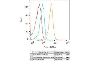 Flow Cytometry (FACS) image for anti-Integrin alpha V (ITGAV) antibody (ABIN7267922)